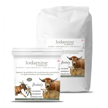 Seau et kraft du produit Iodamine Ruminant