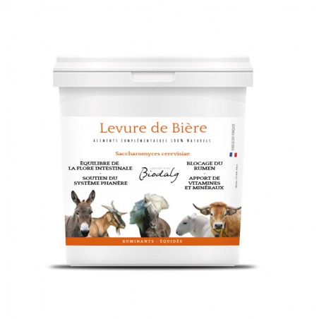 Levure de bière pour chevaux