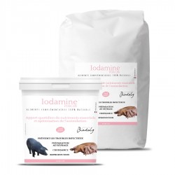 Seau et kraft pour le produit Iodamine porçin