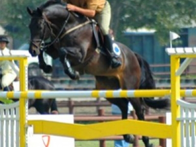 Equitonic