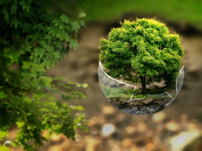 Pourquoi des compléments naturels ?
