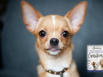 CANITONIC : le meilleur pour votre chien