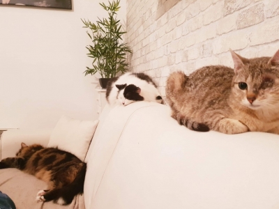 2ème témoignage de Cannelle Treil
