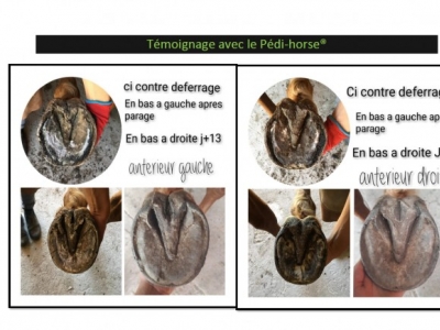 Témoignage de Olivia Lyard