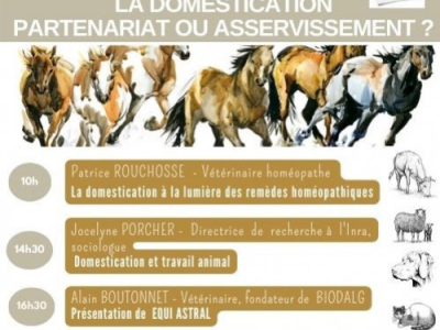 Invitation/SAMEDI 03 DECEMBRE 2022/Entrée libre 